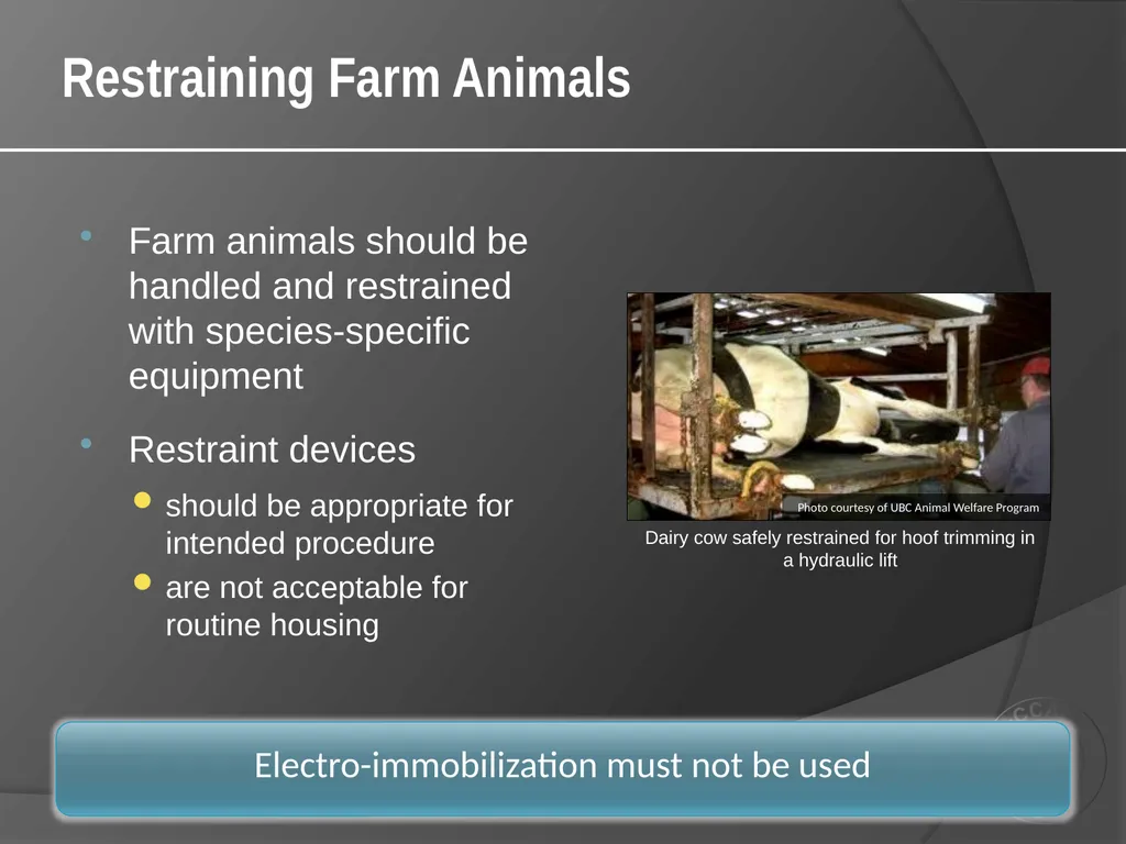 CCAC Training Module on: the Ethical Use and Care - slide 31 of 52