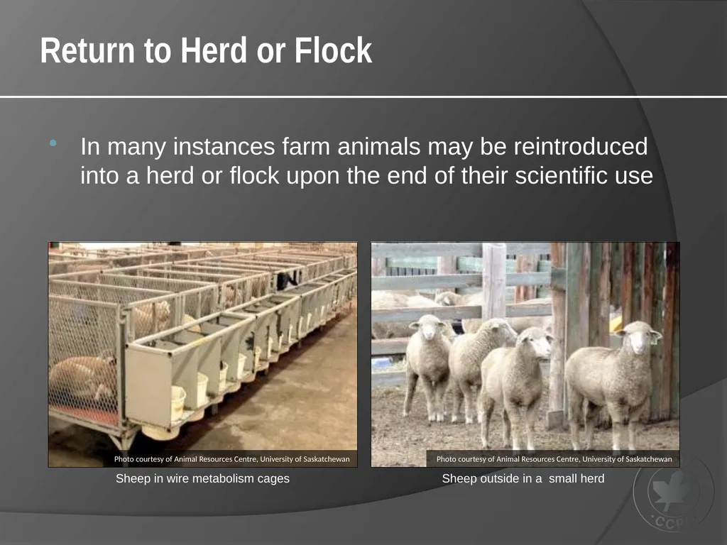 CCAC Training Module on: the Ethical Use and Care - slide 49 of 52