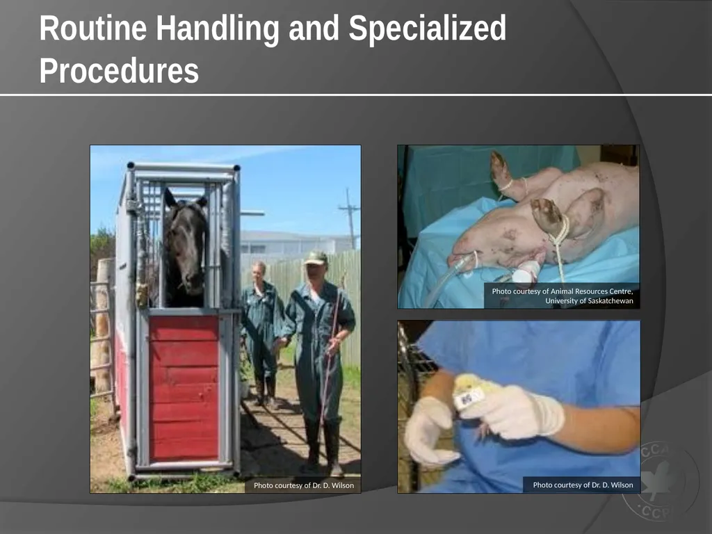 CCAC Training Module on: the Ethical Use and Care - slide 26 of 52