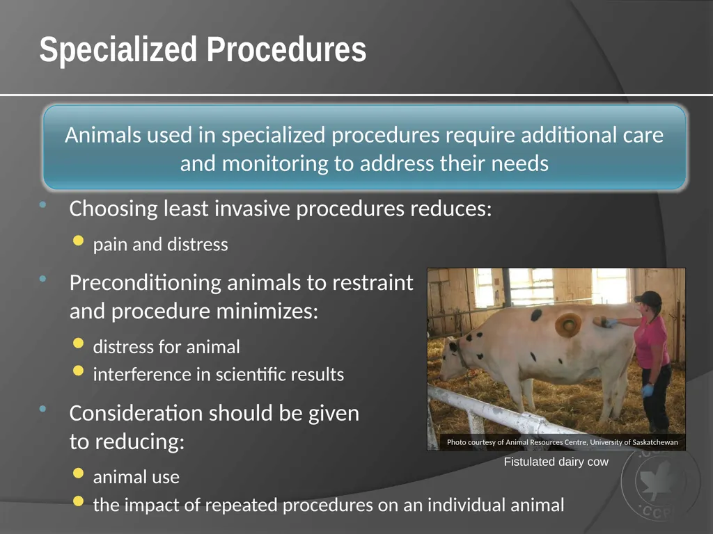 CCAC Training Module on: the Ethical Use and Care - slide 36 of 52