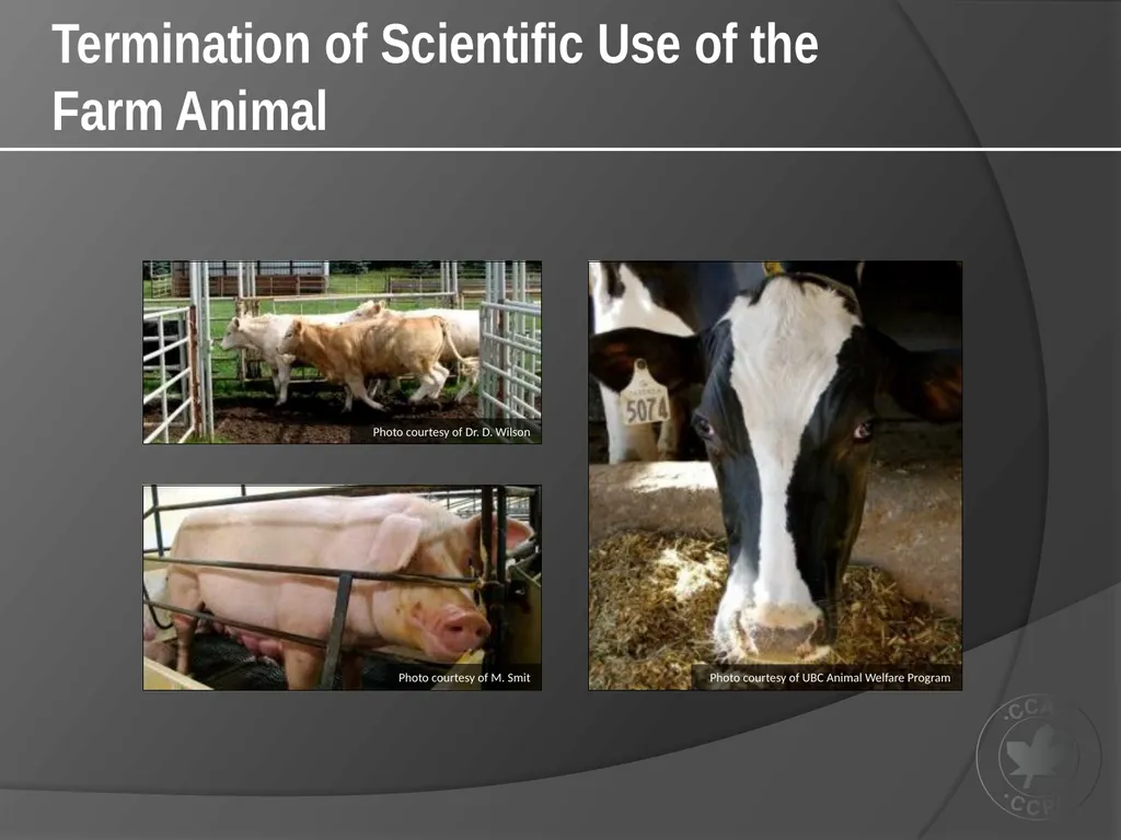 CCAC Training Module on: the Ethical Use and Care - slide 47 of 52
