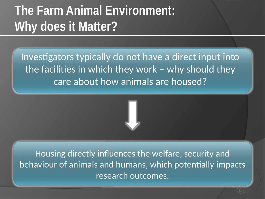 CCAC Training Module on: the Ethical Use and Care - slide 13 of 52