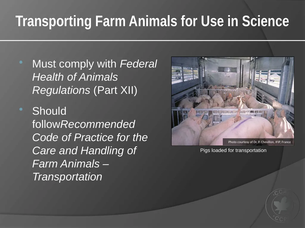 CCAC Training Module on: the Ethical Use and Care - slide 22 of 52