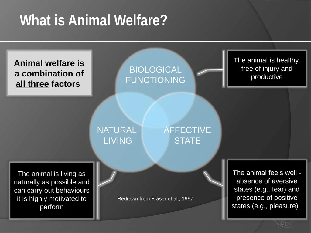 CCAC Training Module on: the Ethical Use and Care - slide 7 of 52
