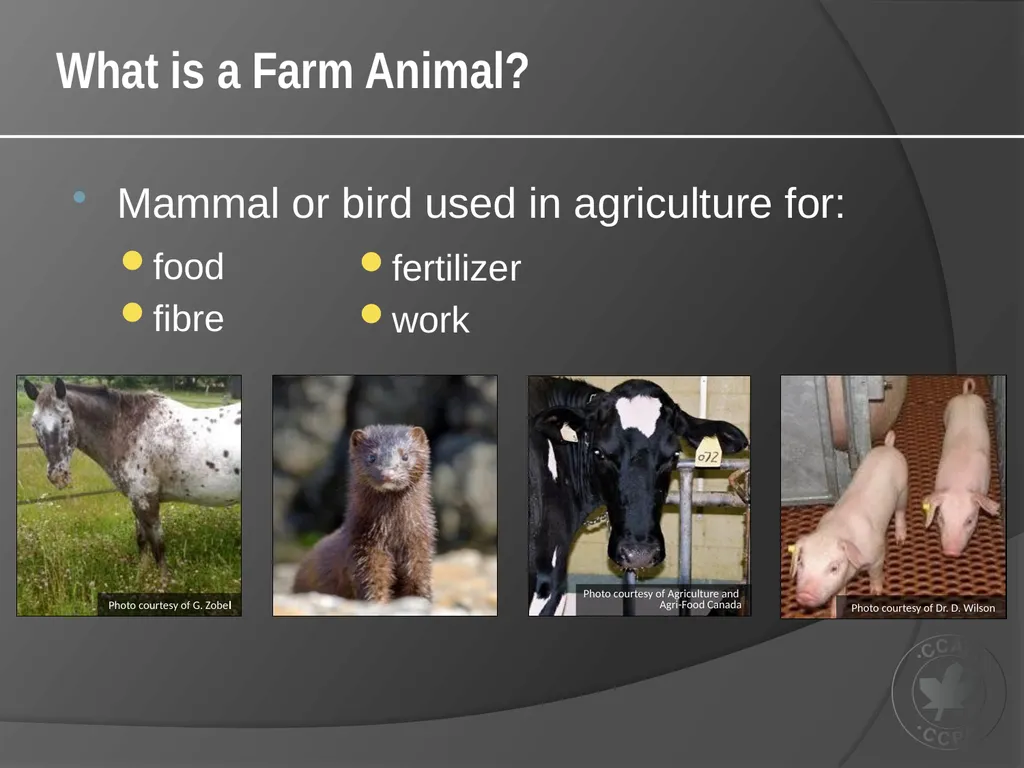 CCAC Training Module on: the Ethical Use and Care - slide 5 of 52