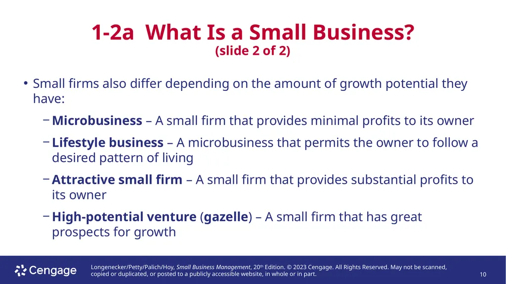 Small Business Management, 20e Chapter 1: The - slide 10 of 45