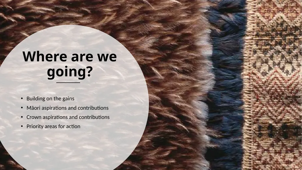 Implementing He Korowai Oranga: The Māori Health - slide 23 of 33