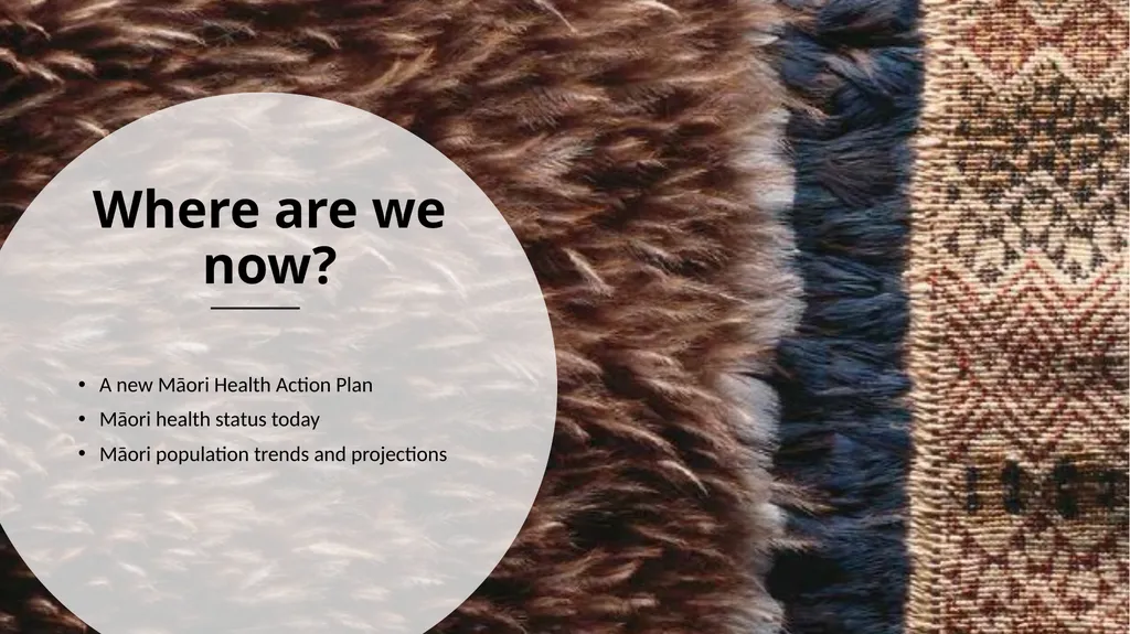 Implementing He Korowai Oranga: The Māori Health - slide 13 of 33