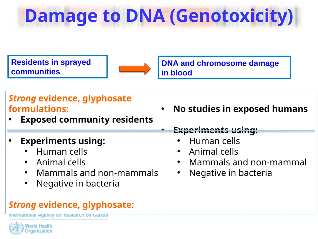 The IARC Monographs: Volume 112, Glyphosate - slide 6 of 12
