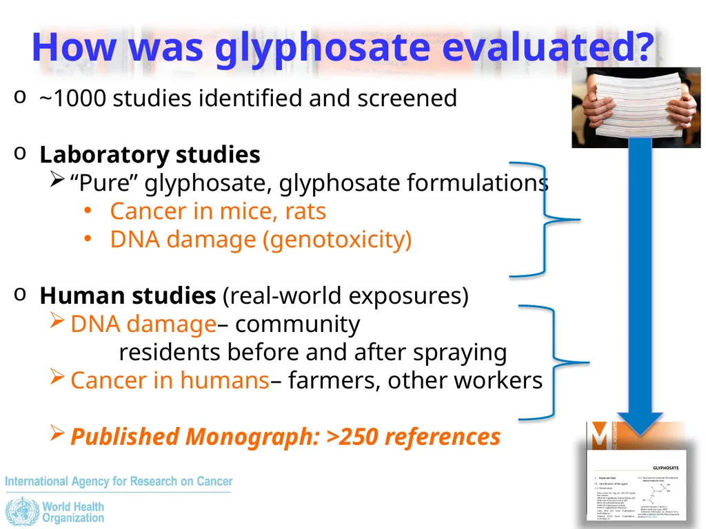The IARC Monographs: Volume 112, Glyphosate - slide 4 of 12
