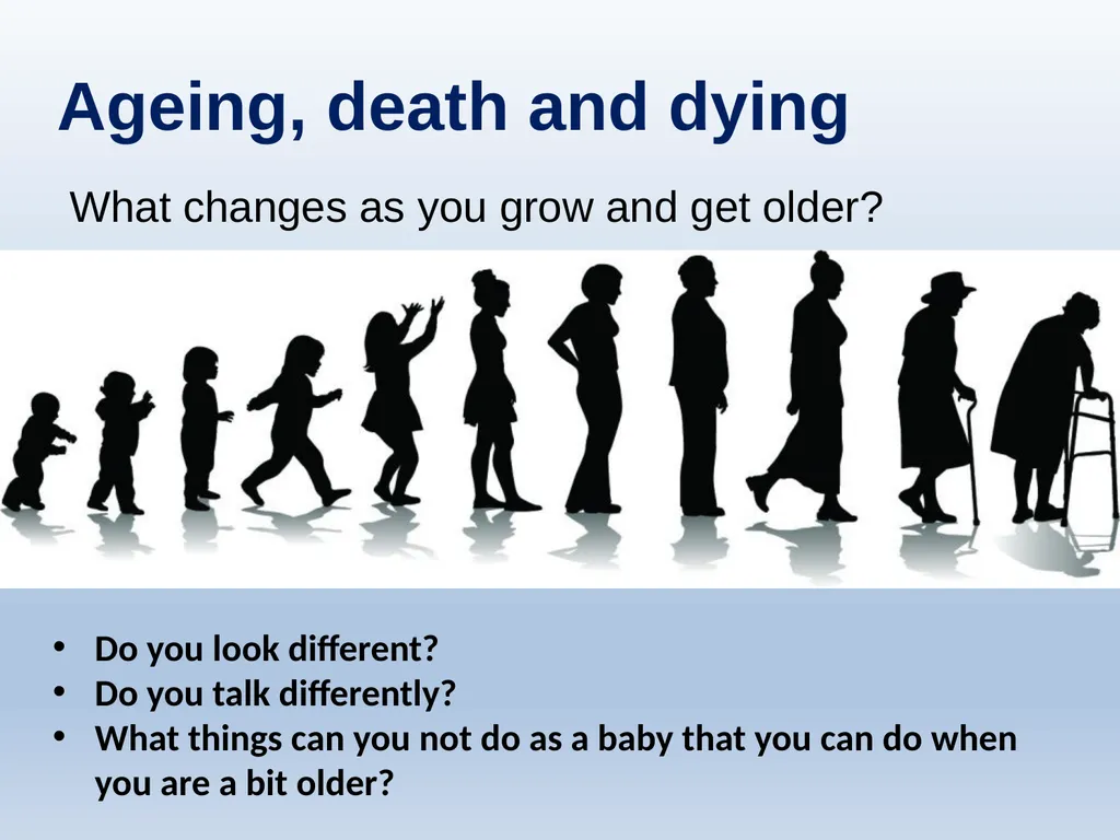 Learning about Bereavement, Loss and Grief Lesson - slide 16 of 27