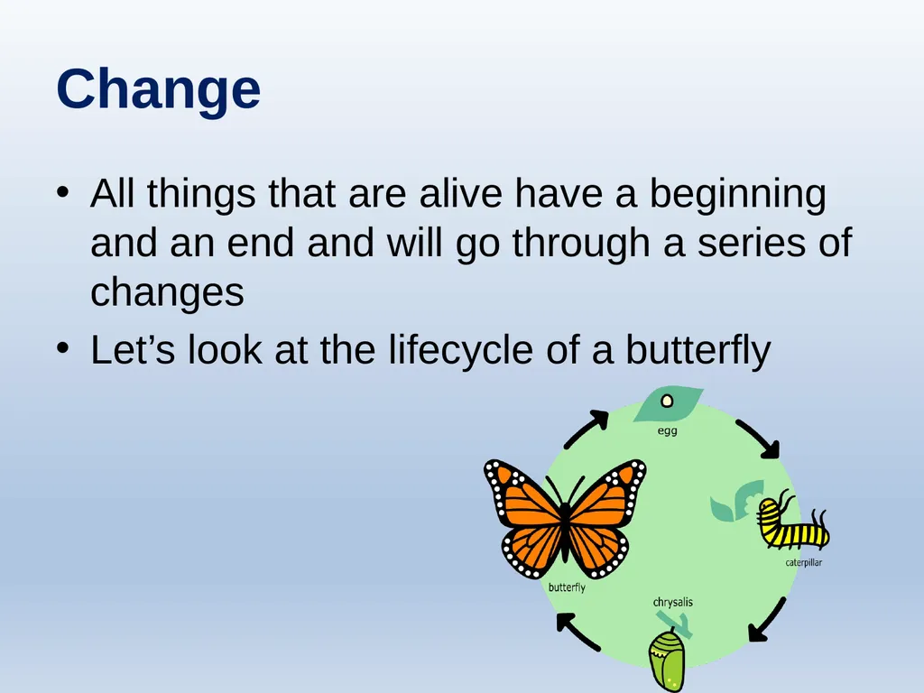 Learning about Bereavement, Loss and Grief Lesson - slide 17 of 27