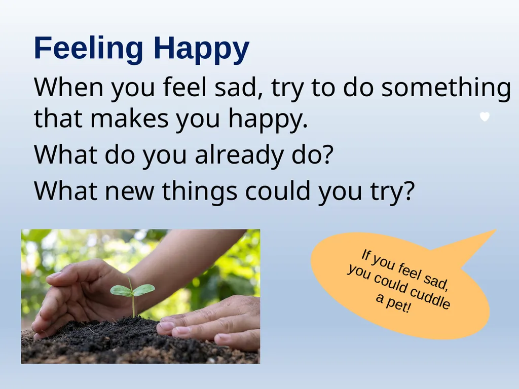 Learning about Bereavement, Loss and Grief Lesson - slide 27 of 27