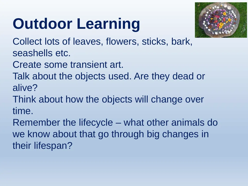 Learning about Bereavement, Loss and Grief Lesson - slide 26 of 27