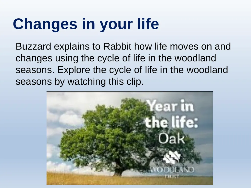 Learning about Bereavement, Loss and Grief Lesson - slide 18 of 30