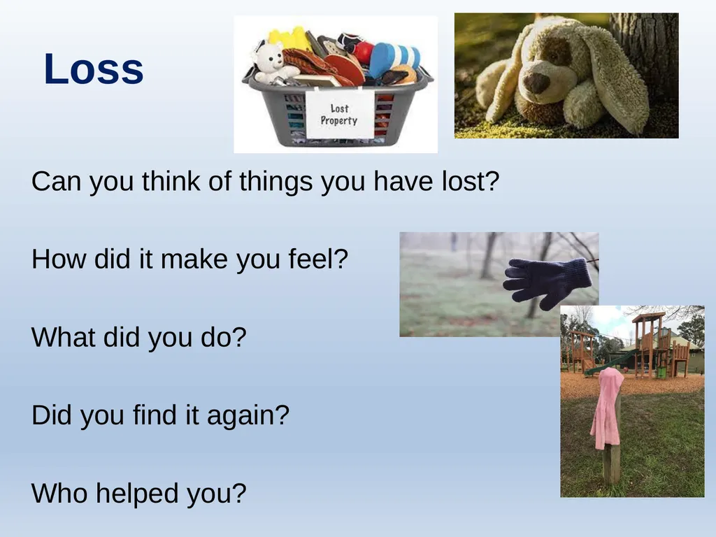 Learning about Bereavement, Loss and Grief Lesson - slide 5 of 30