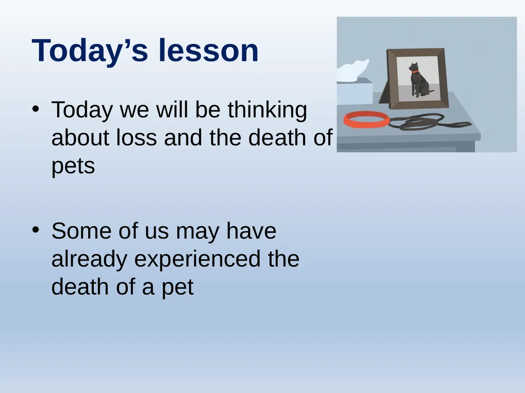 Learning about Bereavement, Loss and Grief Lesson - slide 2 of 30
