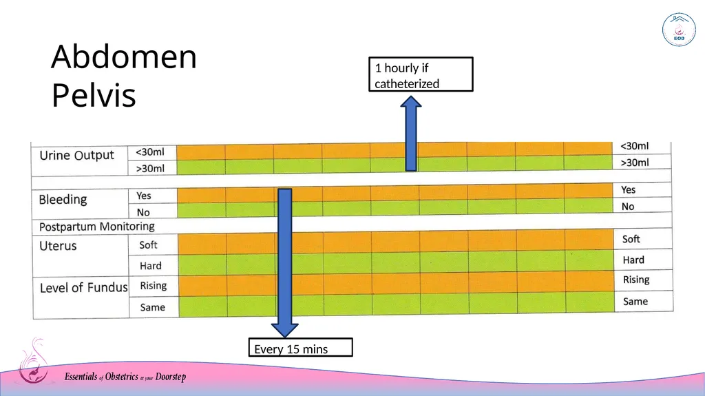 MEOWS chart Modified Early Warning System Sri - slide 10 of 17