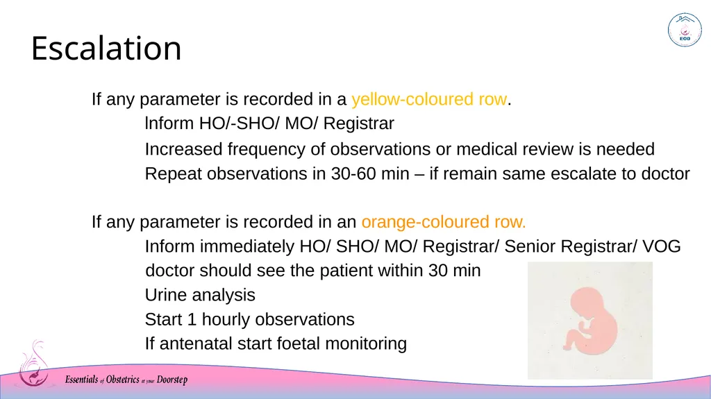 MEOWS chart Modified Early Warning System Sri - slide 13 of 17