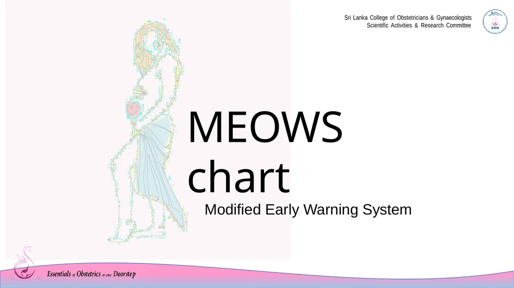 MEOWS chart Modified Early Warning System Sri - slide 1 of 17