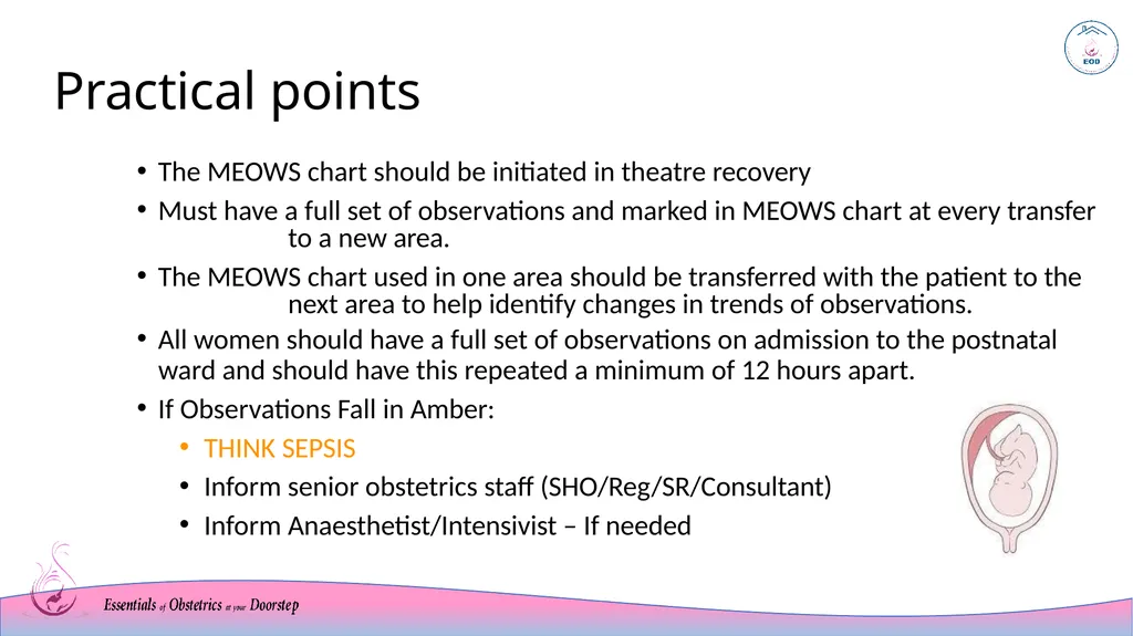 MEOWS chart Modified Early Warning System Sri - slide 14 of 17