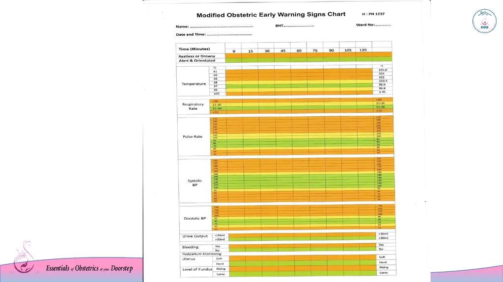 MEOWS chart Modified Early Warning System Sri - slide 3 of 17