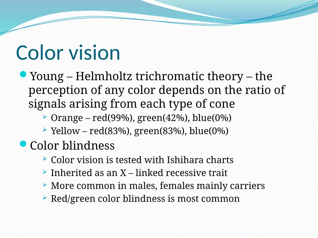 VISION INTRODUCTION ACCESSORY STRUCTURES OF THE - slide 37 of 62
