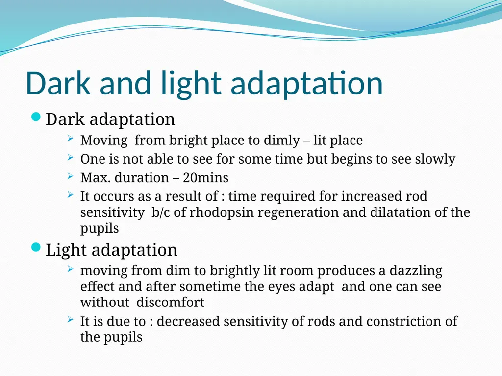 VISION INTRODUCTION ACCESSORY STRUCTURES OF THE - slide 41 of 62
