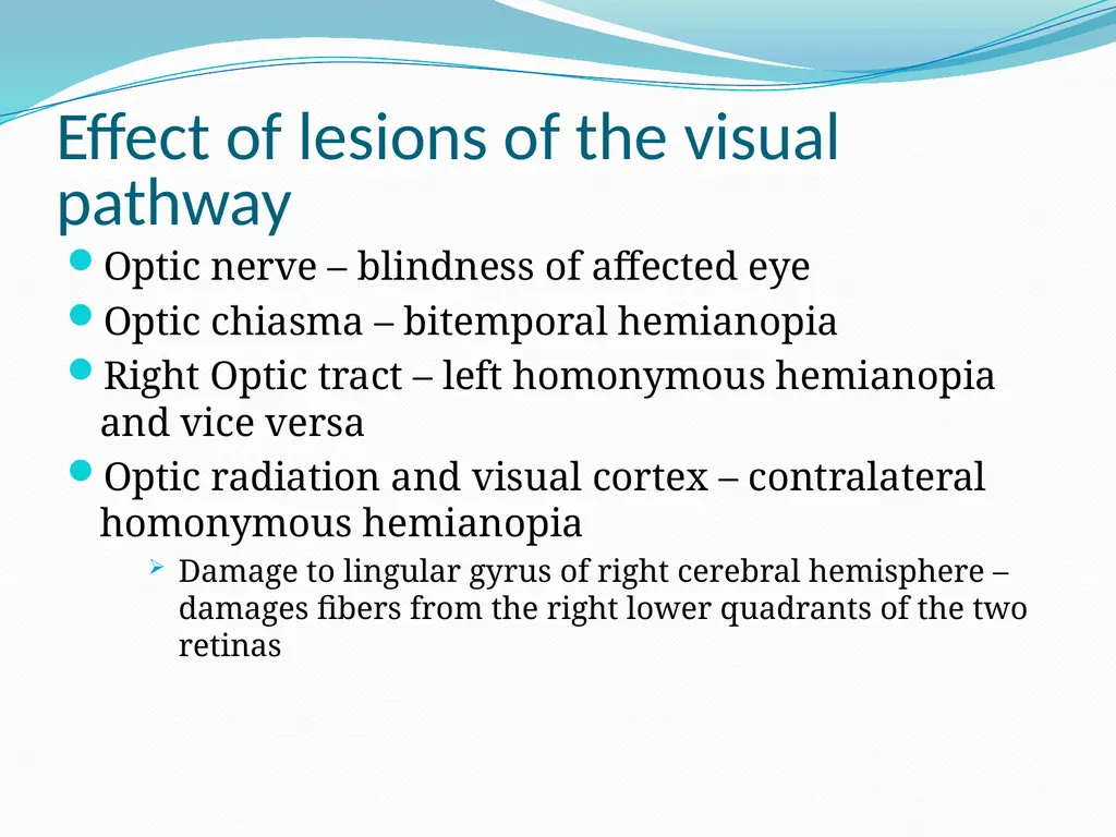VISION INTRODUCTION ACCESSORY STRUCTURES OF THE - slide 53 of 62