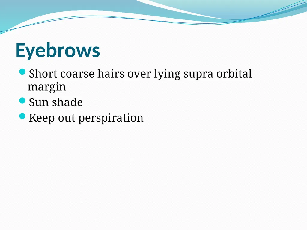 VISION INTRODUCTION ACCESSORY STRUCTURES OF THE - slide 6 of 62