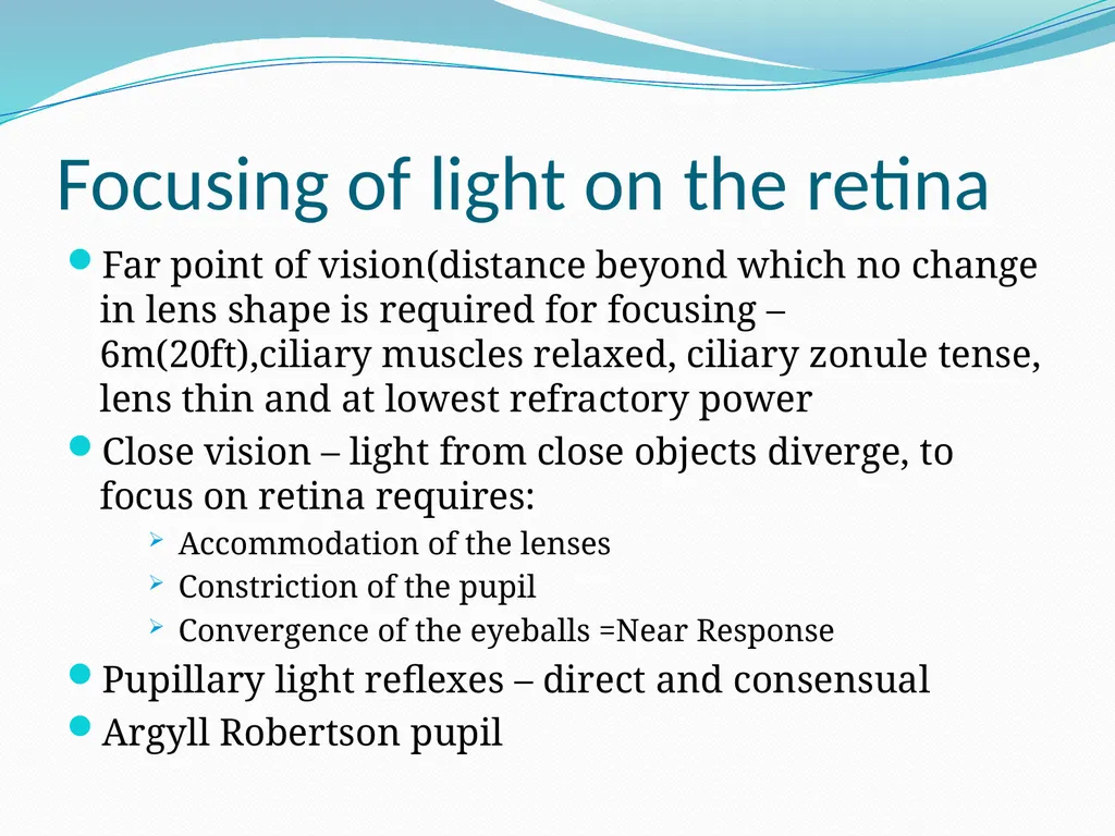 VISION INTRODUCTION ACCESSORY STRUCTURES OF THE - slide 27 of 62