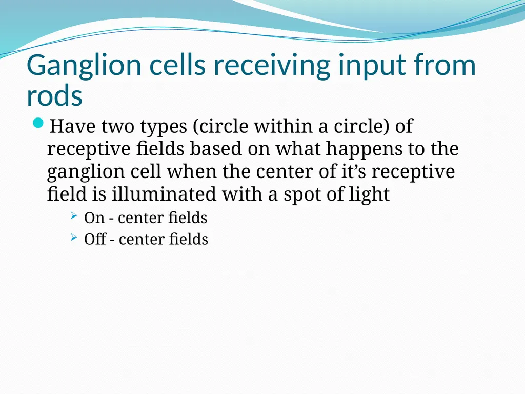 VISION INTRODUCTION ACCESSORY STRUCTURES OF THE - slide 57 of 62