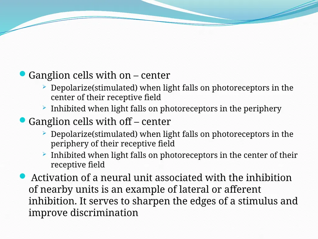 VISION INTRODUCTION ACCESSORY STRUCTURES OF THE - slide 58 of 62