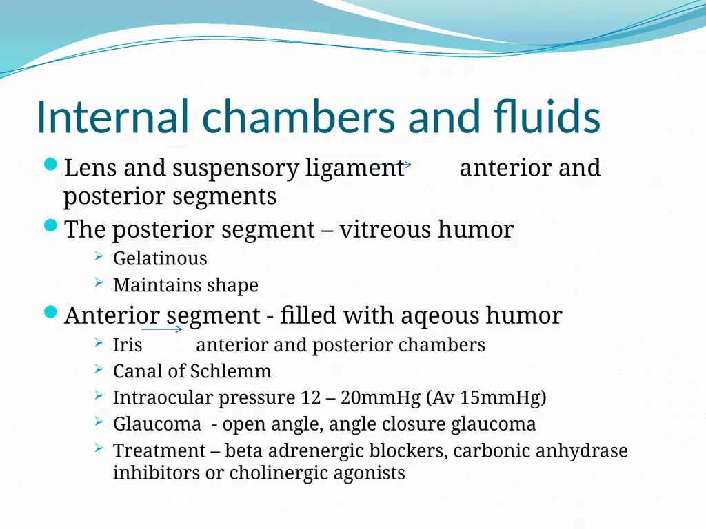 VISION INTRODUCTION ACCESSORY STRUCTURES OF THE - slide 21 of 62