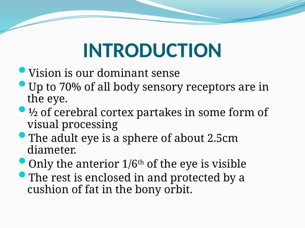VISION INTRODUCTION ACCESSORY STRUCTURES OF THE - slide 3 of 62