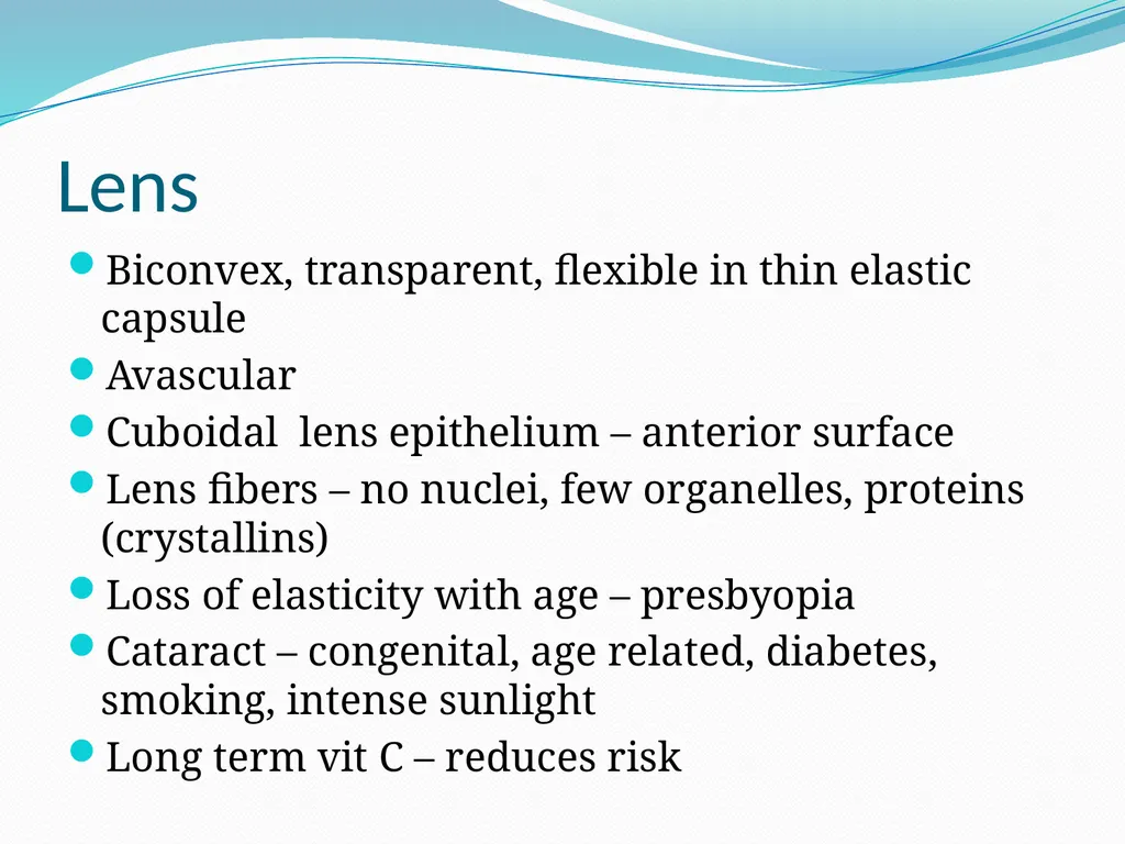 VISION INTRODUCTION ACCESSORY STRUCTURES OF THE - slide 23 of 62