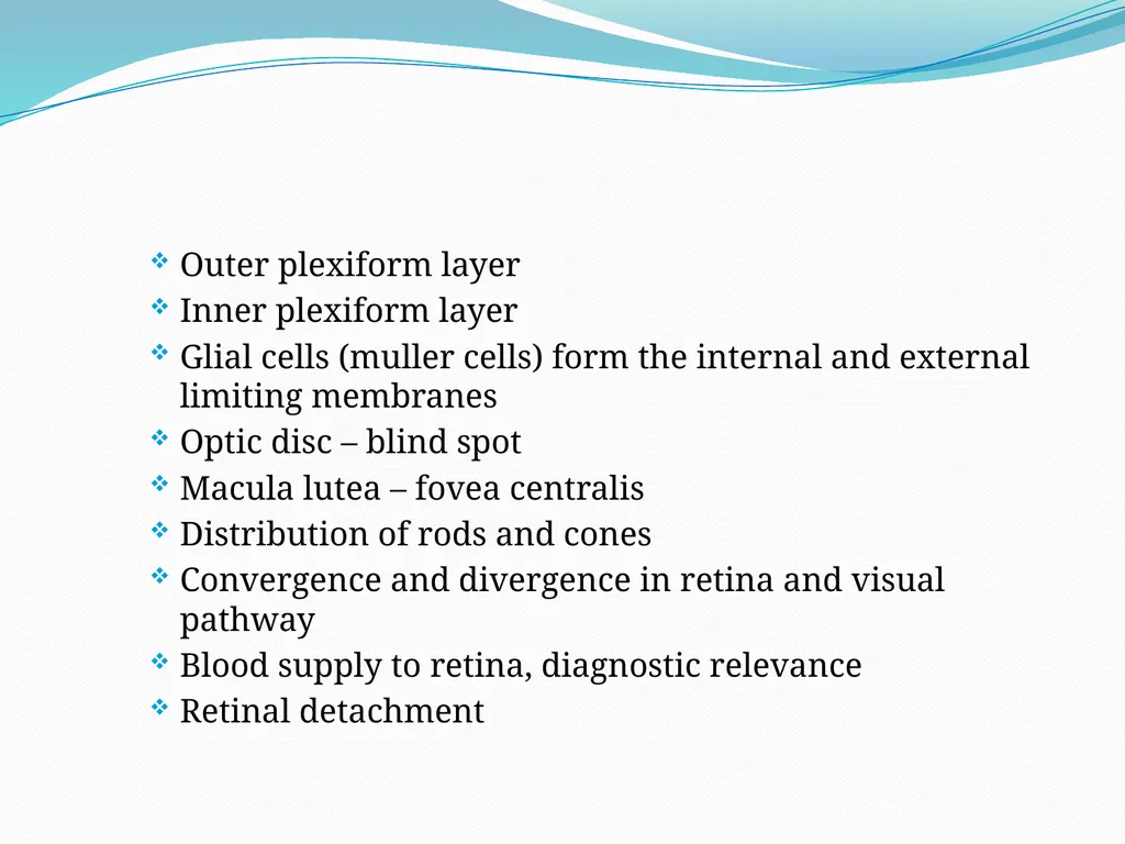 VISION INTRODUCTION ACCESSORY STRUCTURES OF THE - slide 18 of 62