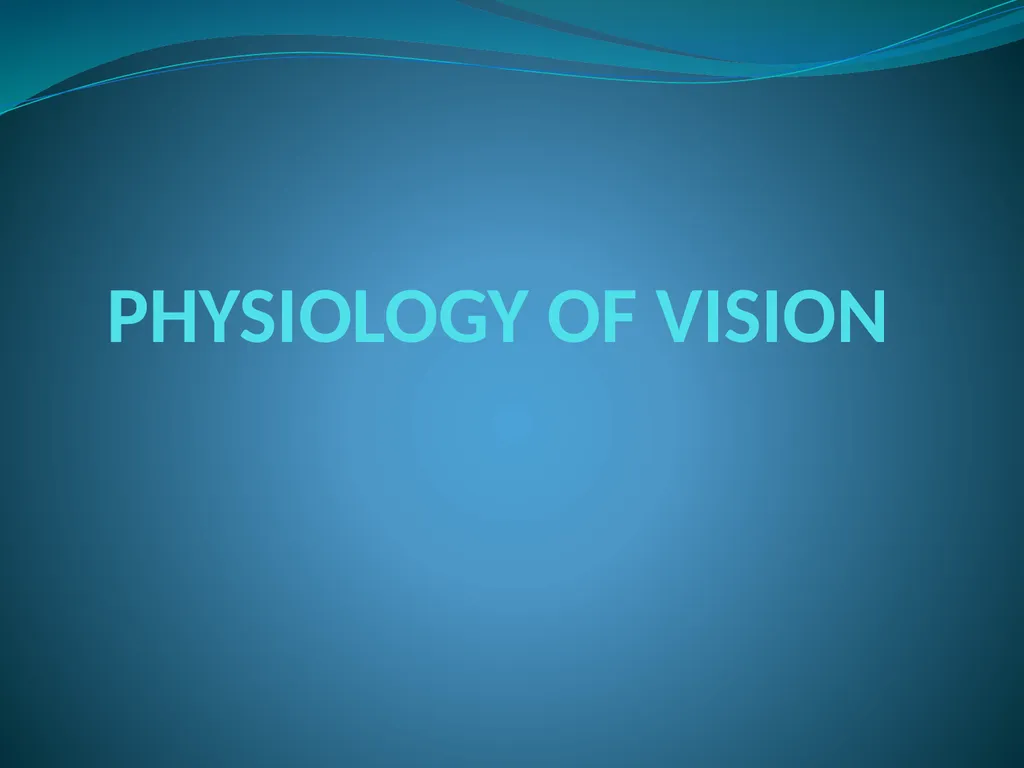 VISION INTRODUCTION ACCESSORY STRUCTURES OF THE - slide 24 of 62