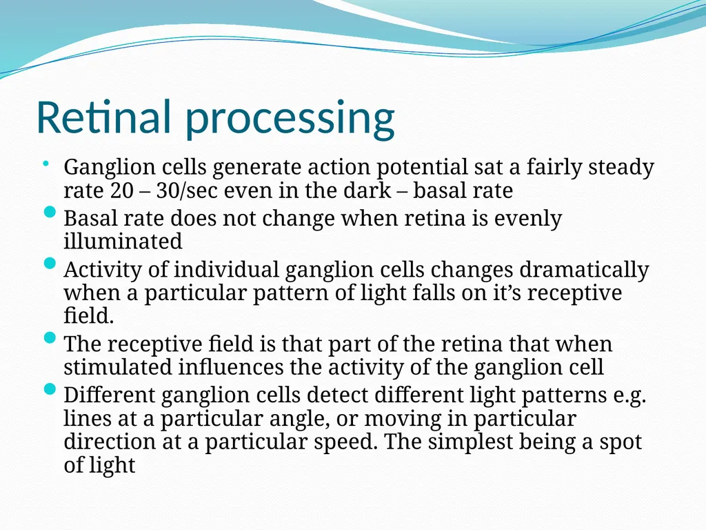 VISION INTRODUCTION ACCESSORY STRUCTURES OF THE - slide 56 of 62