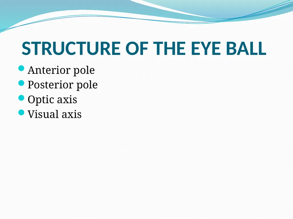 VISION INTRODUCTION ACCESSORY STRUCTURES OF THE - slide 12 of 62