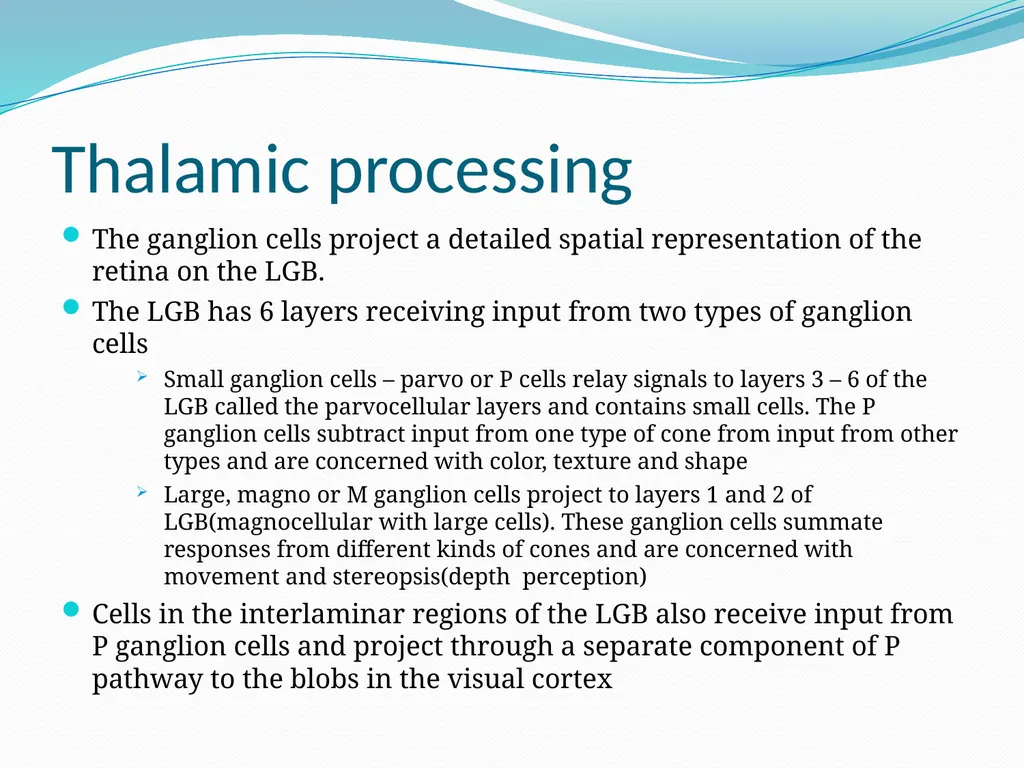 VISION INTRODUCTION ACCESSORY STRUCTURES OF THE - slide 59 of 62