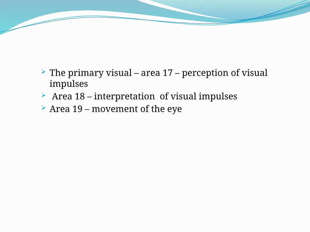 VISION INTRODUCTION ACCESSORY STRUCTURES OF THE - slide 52 of 62