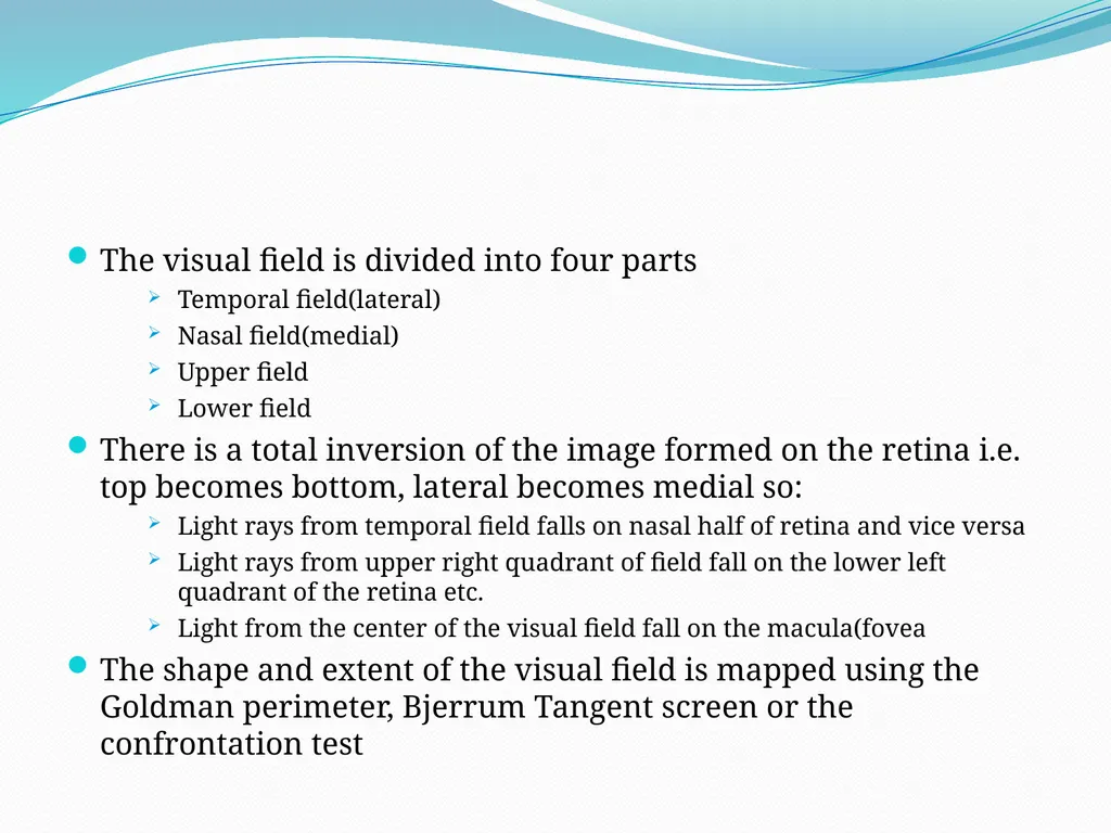 VISION INTRODUCTION ACCESSORY STRUCTURES OF THE - slide 43 of 62