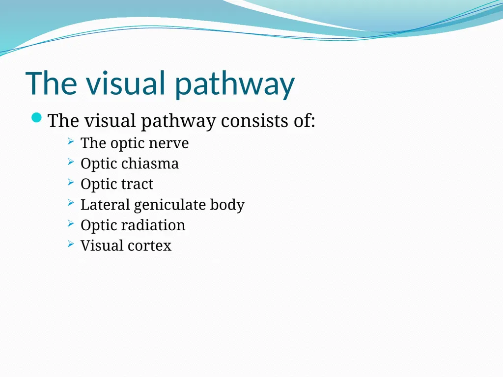 VISION INTRODUCTION ACCESSORY STRUCTURES OF THE - slide 45 of 62
