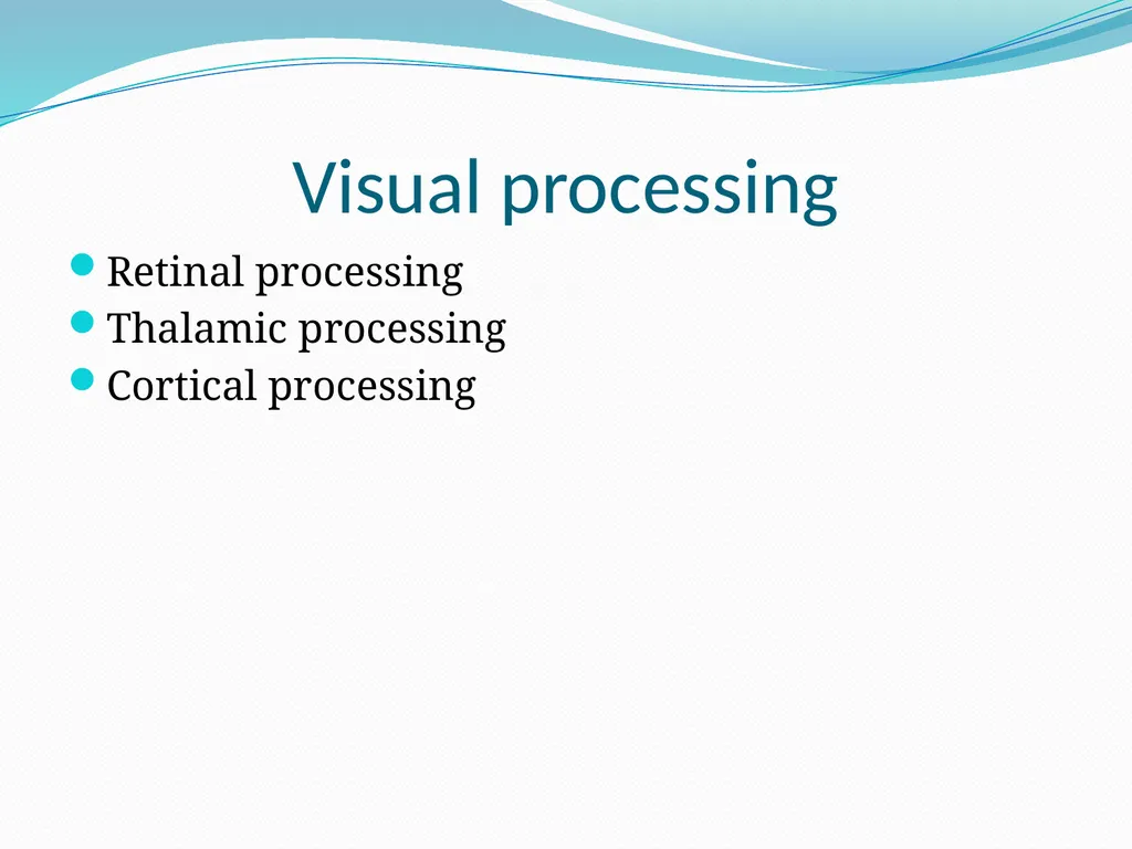 VISION INTRODUCTION ACCESSORY STRUCTURES OF THE - slide 55 of 62