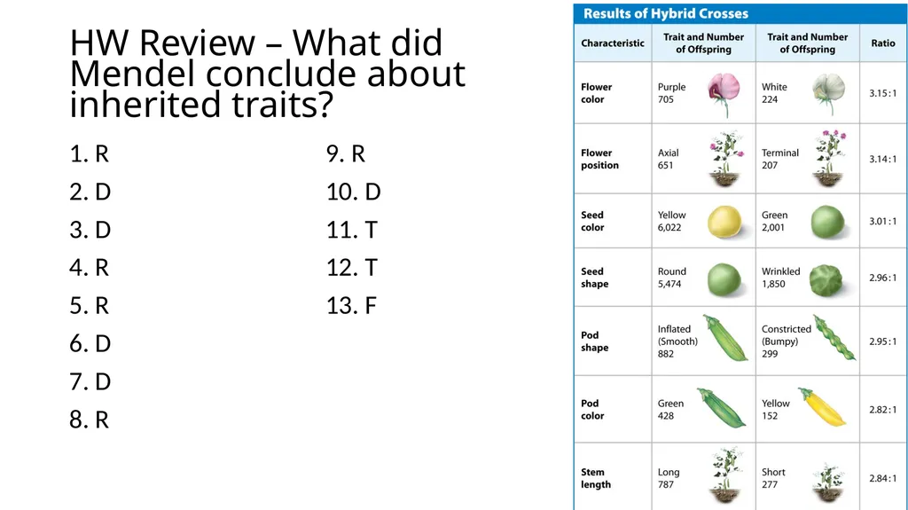 5-3-18 Identifying Dominant Traits Do Now: Take - slide 3 of 7