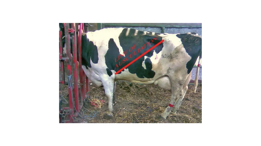 UNIT-5 (REGIONAL SURGERY-II) UG COURSES DR. - slide 8 of 27