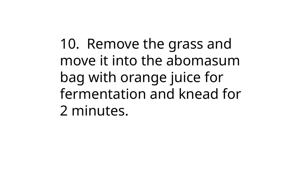 Cow Digestive System Monogastric and ruminant - slide 12 of 15