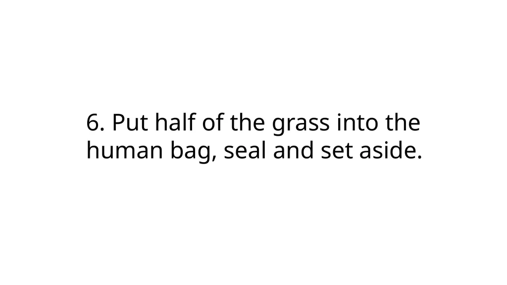 Cow Digestive System Monogastric and ruminant - slide 8 of 15