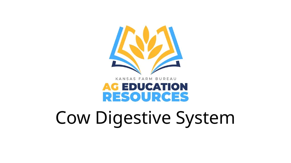 Cow Digestive System Monogastric and ruminant - slide 1 of 15